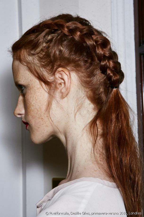 Reddish-Brown Visual Idea Reddish-Brown Visual Idea — Braided Hairstyles 2027