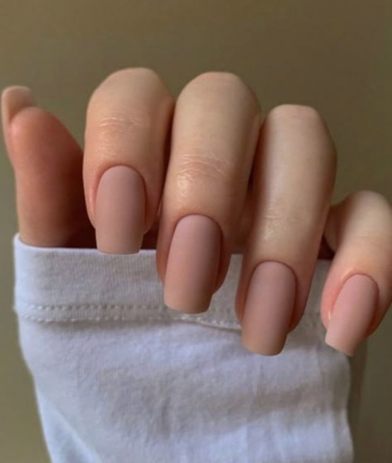Matte Nude Chic Nails Matte Nude Chic Nails — Short Square Nails 2027