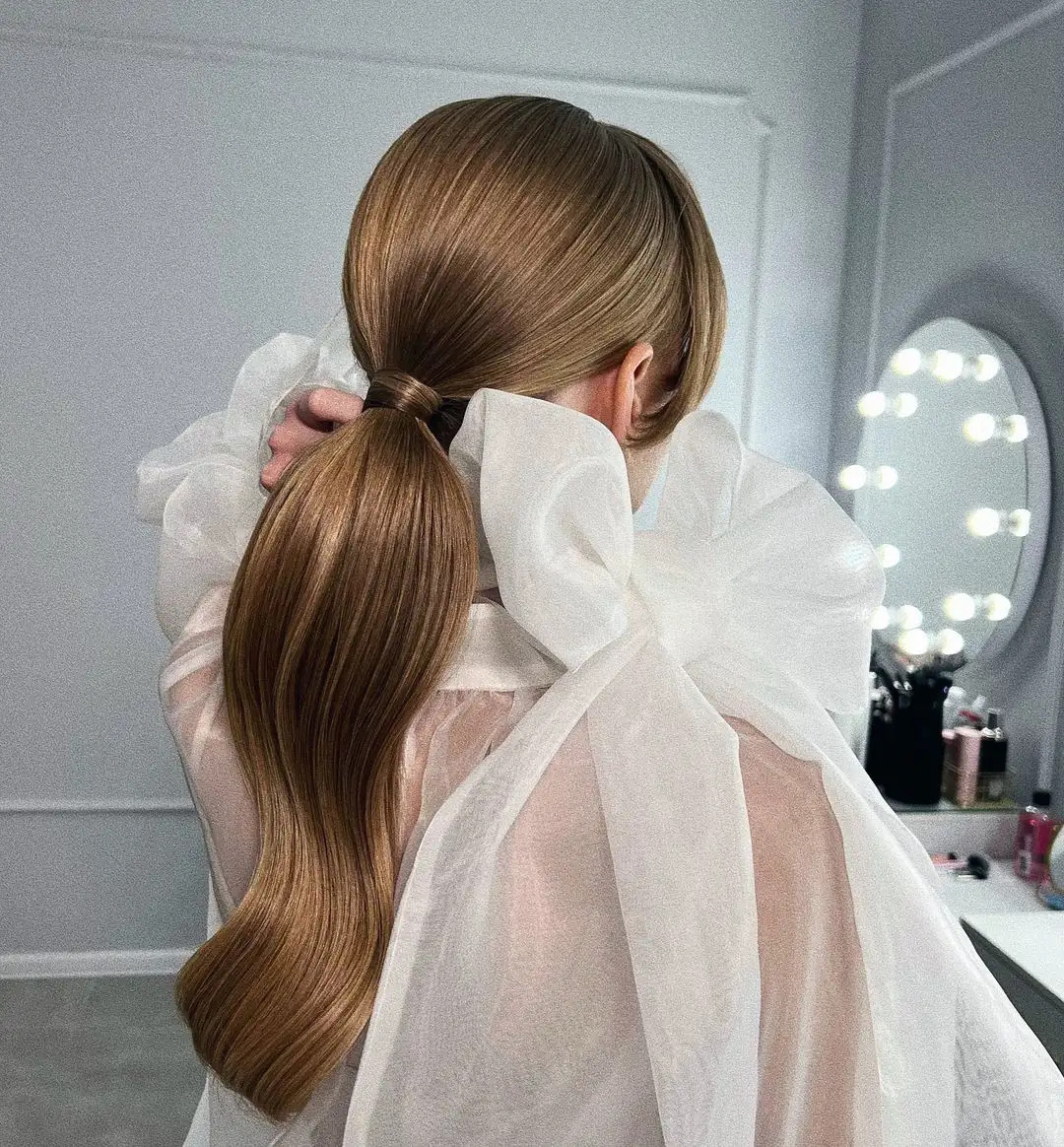 Sleek High Ponytail on Fine Light Brown Hair Sleek High Ponytail on Fine Light Brown Hair — Simple Hairstyles 2027