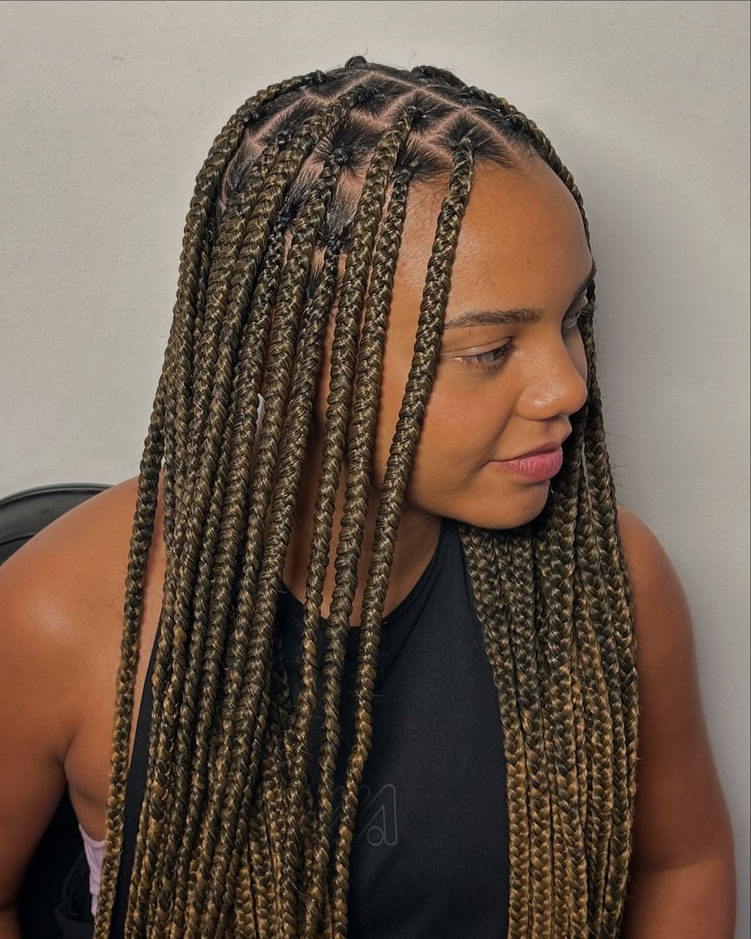 Mid-Back Dark Brown Box Braids With Highlights Mid-Back Dark Brown Box Braids With Highlights — Braided Hairstyles 2027 with Weave