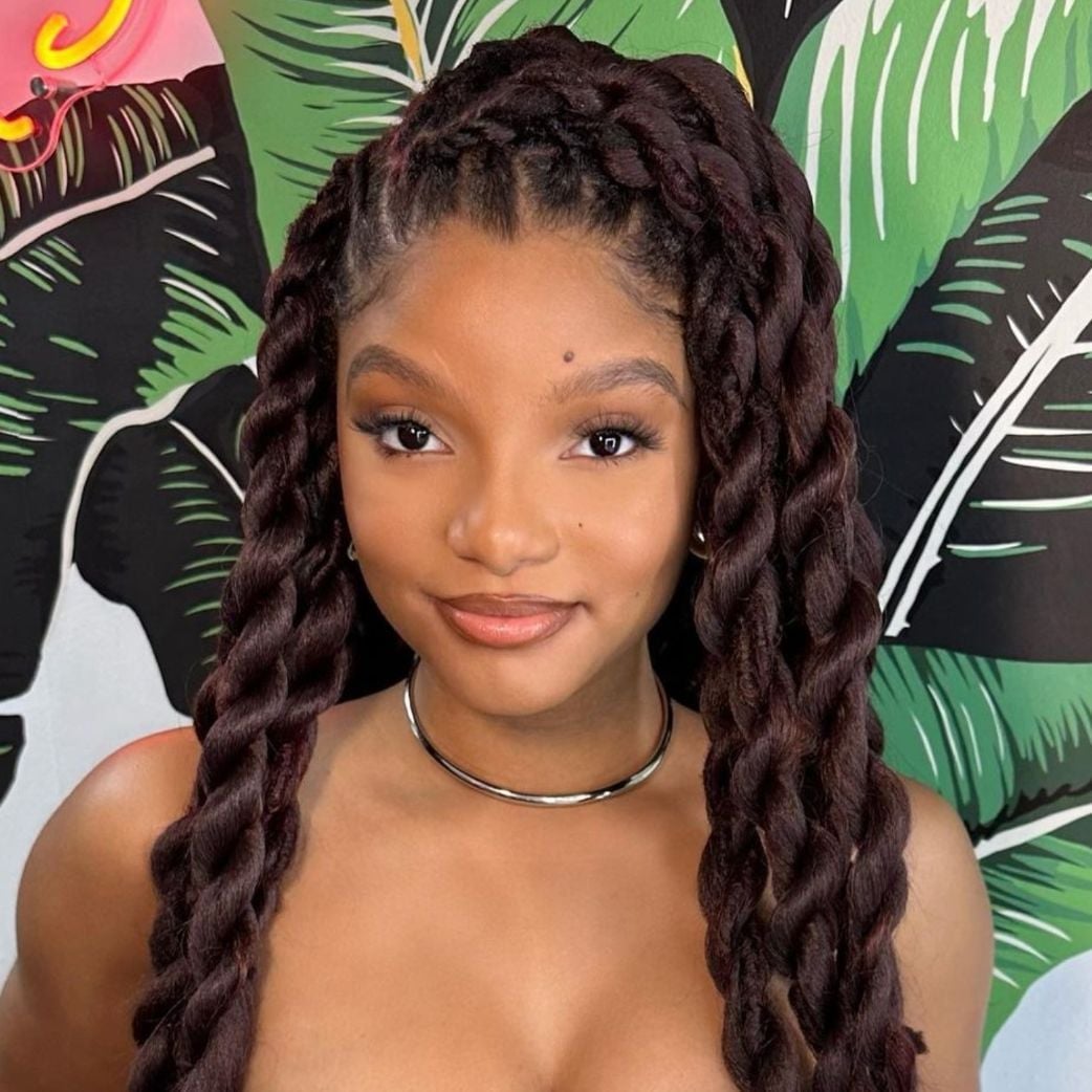 Jumbo Twisted Braids With Auburn Highlights Jumbo Twisted Braids With Auburn Highlights — Braided Hairstyles 2027 with Weave