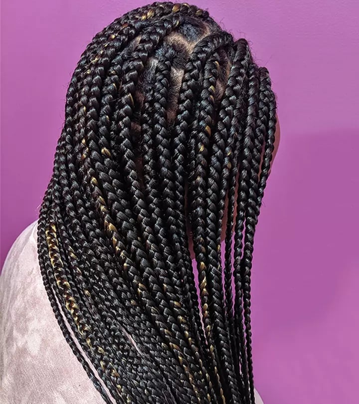 Mid-Back Black Braids With Golden Highlights Mid-Back Black Braids With Golden Highlights — Braided Hairstyles 2027 with Weave