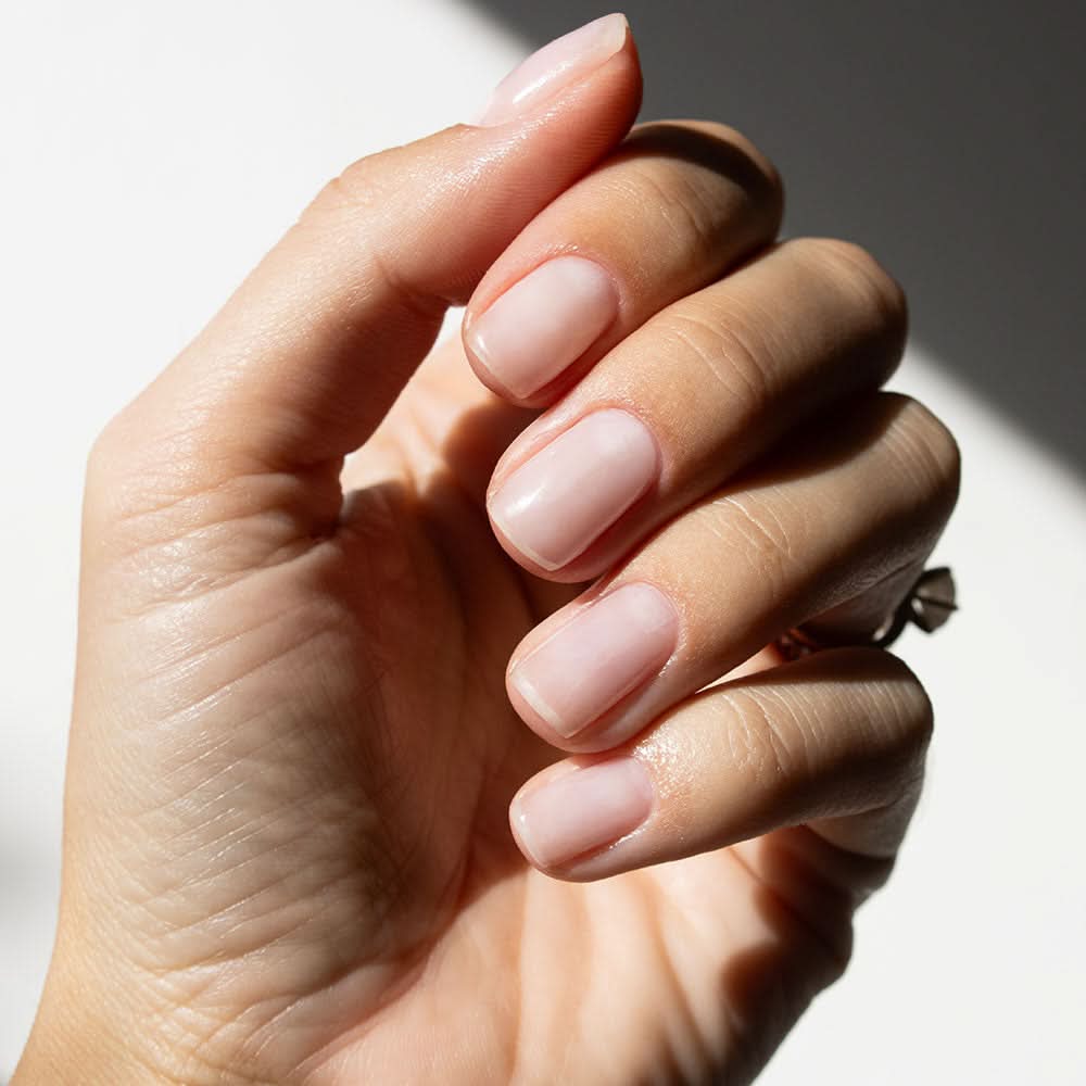 Short Oval Clear Builder Gel Nails Short Oval Clear Builder Gel Nails — Clear Nails 2027