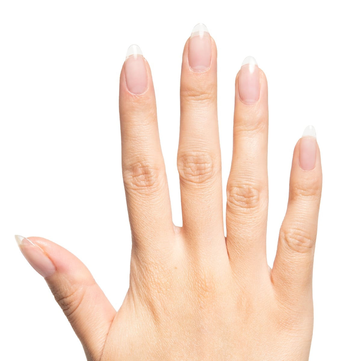 Medium Almond Clear Builder Gel Nails Medium Almond Clear Builder Gel Nails — Clear Nails 2027