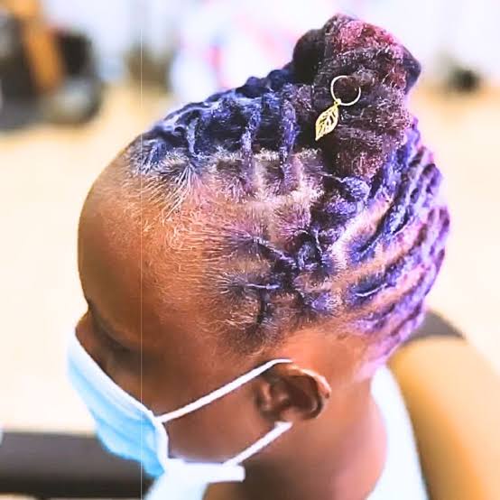 Braided Locs Updo In Vibrant Purple Braided Locs Updo In Vibrant Purple — Colored Locs 2027