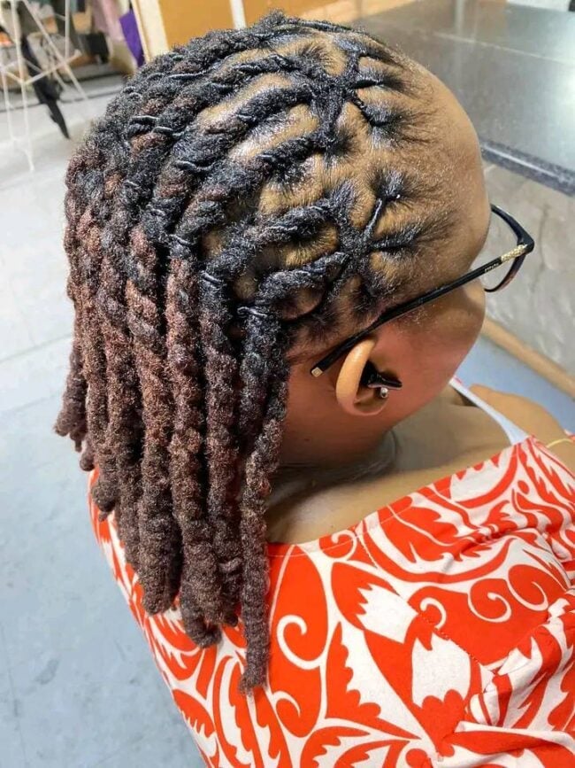 Braided Locs With Dark To Light Brown Gradient Braided Locs With Dark To Light Brown Gradient — Colored Locs 2027