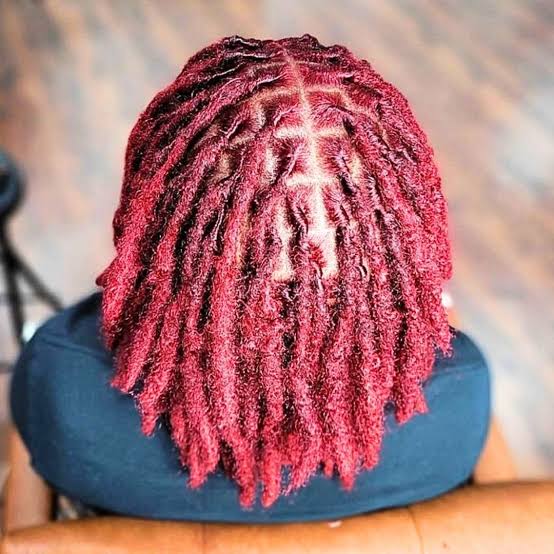 Shoulder Length Locs In Rich Red Shoulder Length Locs In Rich Red — Colored Locs 2027