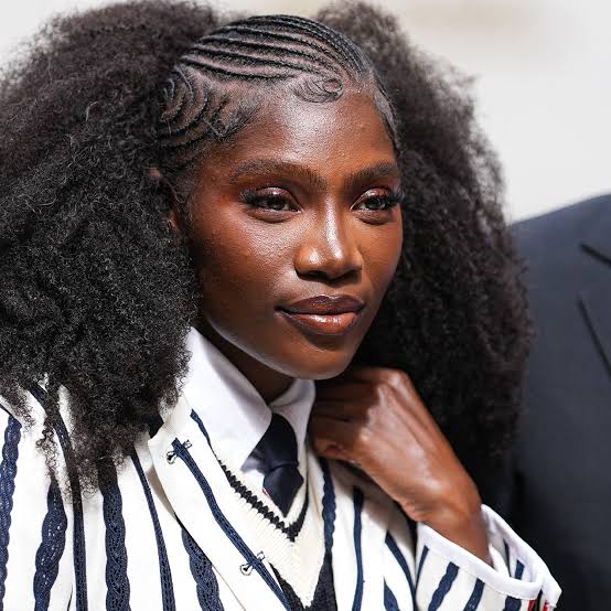 Curved Cornrows Into an Afro Curved Cornrows Into an Afro — Curved Cornrows 2027