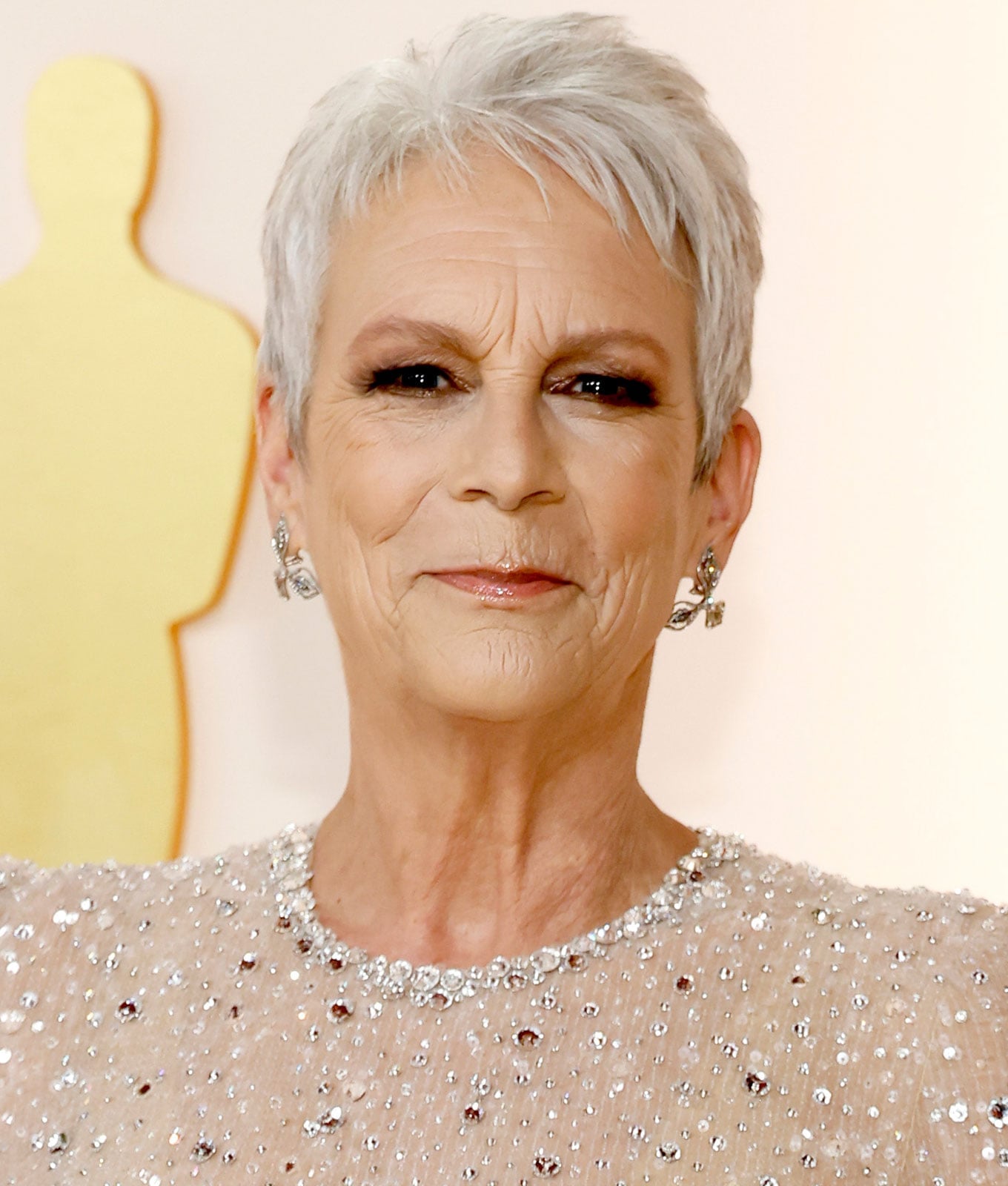 Sharp Gray Pixie With Air-Dried Texture Sharp Gray Pixie With Air-Dried Texture — Gray Pixie 2027