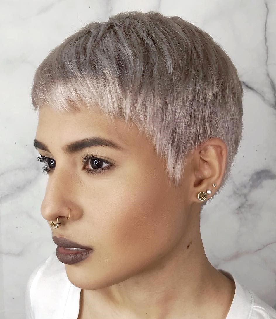 Soft Light Gray Pixie With Pink Undertones Soft Light Gray Pixie With Pink Undertones — Gray Pixie 2027