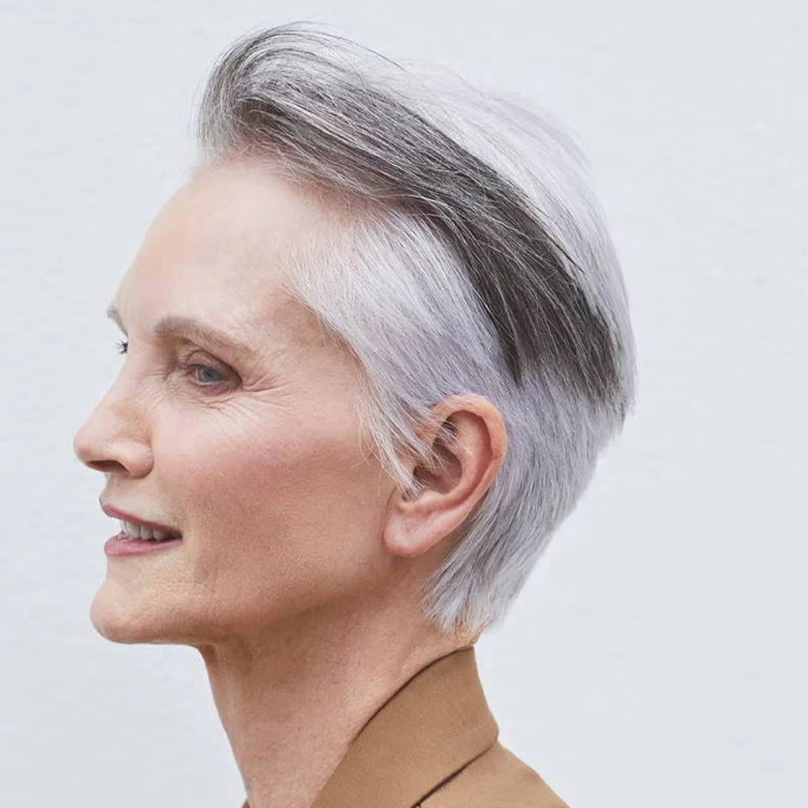 Sleek Cool Gray Pixie With Rounded Shape Sleek Cool Gray Pixie With Rounded Shape — Gray Pixie 2027