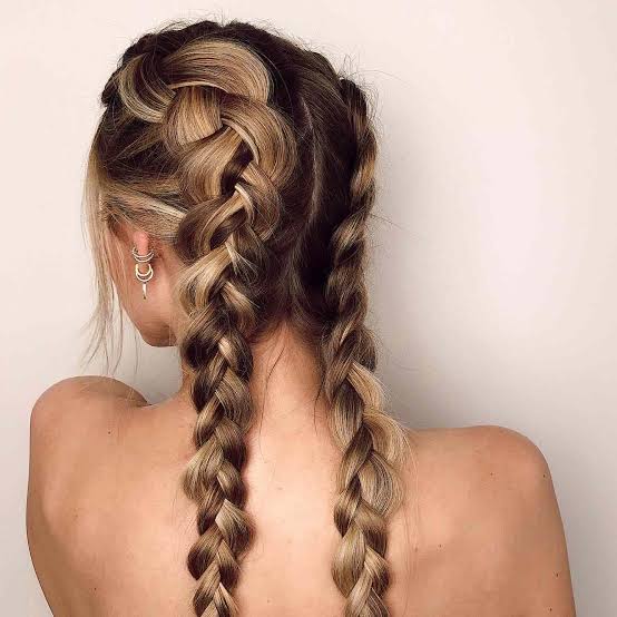 Dark Brown With Blonde Highlights Braids Dark Brown With Blonde Highlights Braids — Hairstyles 2027 for Long Neck