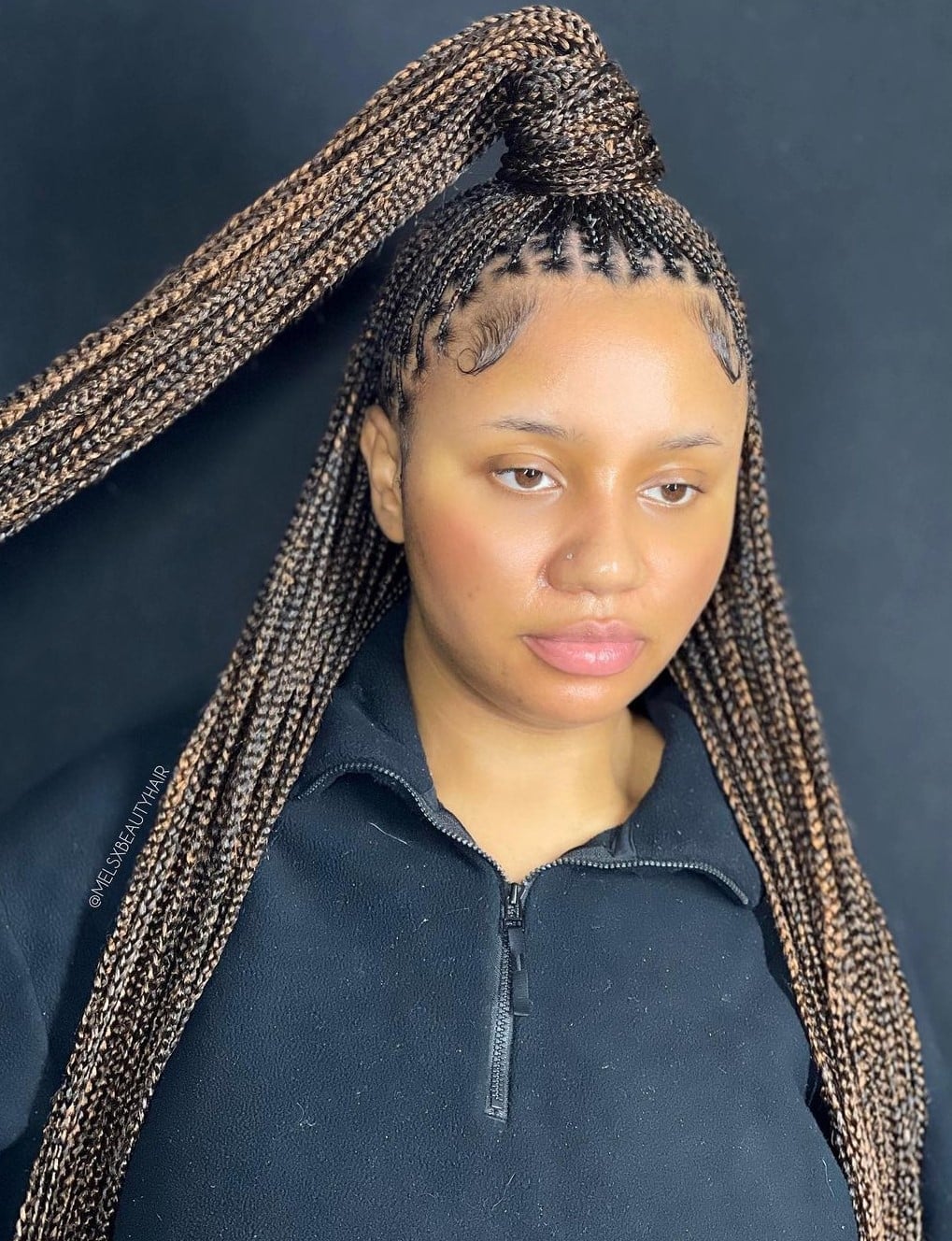 Brown Blonde Highlighted Braids Half Up Ponytail Brown Blonde Highlighted Braids Half Up Ponytail — Half Up Knotless Braids 2027