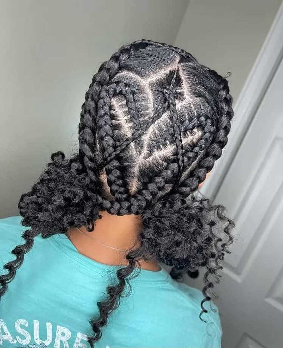Box Braids With Blonde And Red Accents Heart Part Box Braids With Blonde And Red Accents Heart Part — Heart Part Braids 2027