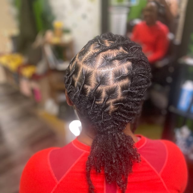 Fine Locs Interlocked Ponytail Style Fine Locs Interlocked Ponytail Style — Interlock Locs 2027