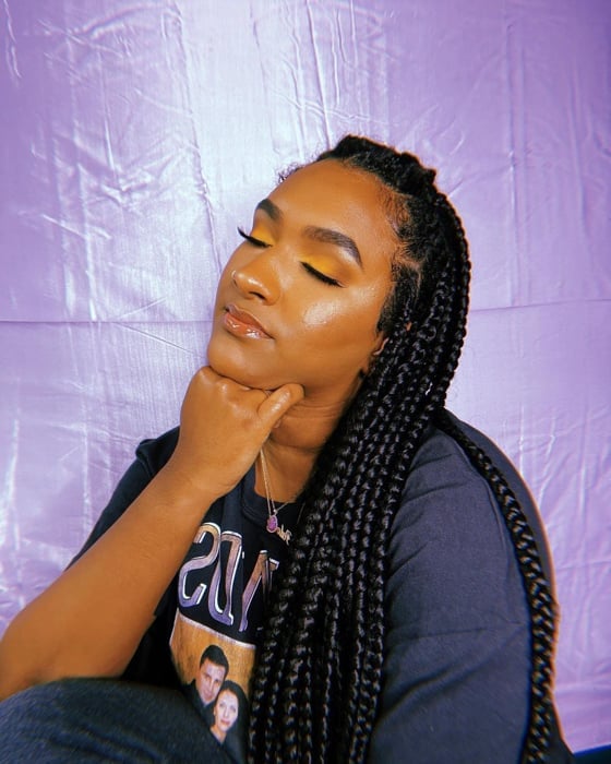 Mid-Back Thick Straight Black Jumbo Box Braids, Softer Variation — Jumbo Braided Hairstyles 2027