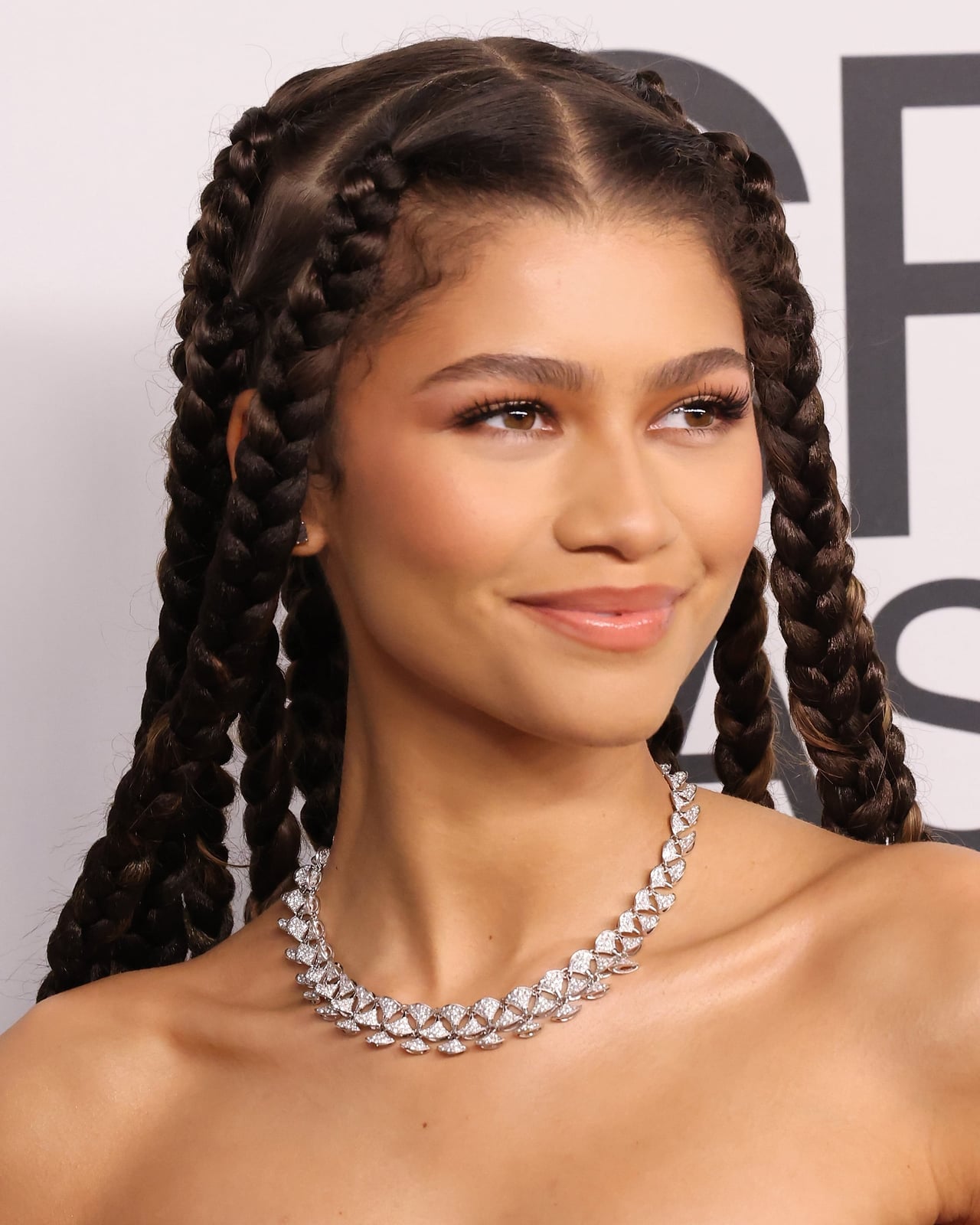 Mid-Back Thick Dark Brown Box Braids — Jumbo Braided Hairstyles 2027