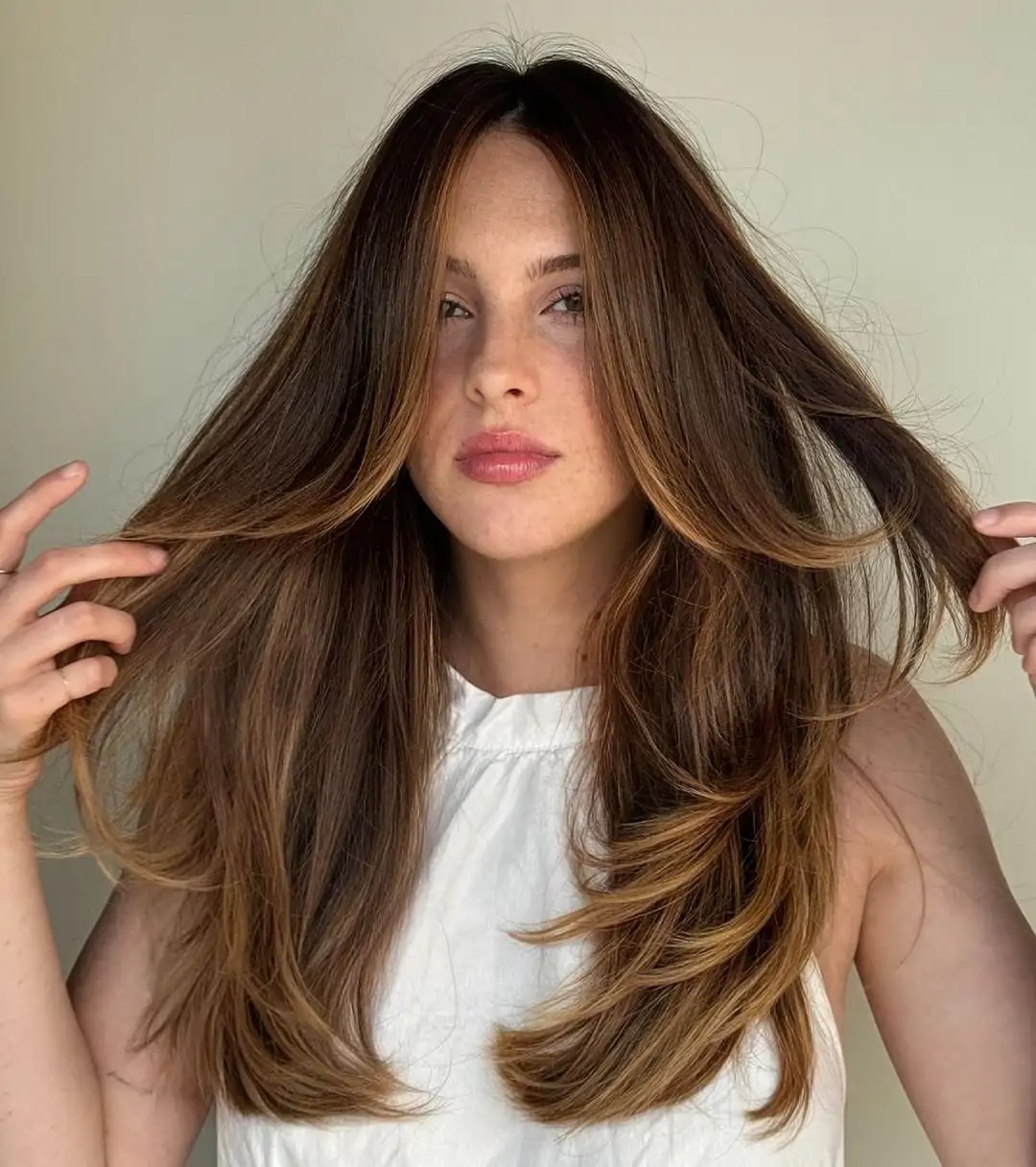 Deep Brunette With Face-Framing Blonde Highlights, Close-Up Take Deep Brunette With Face-Framing Blonde Highlights, Close-Up Take — Lived In Brunette 2027