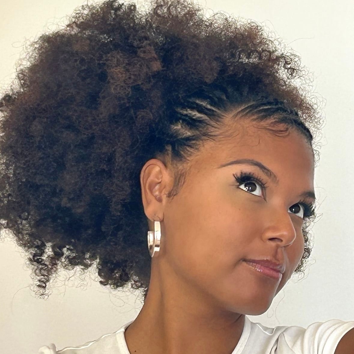 The Versatile Afro Puff The Versatile Afro Puff — Low Puff 2027