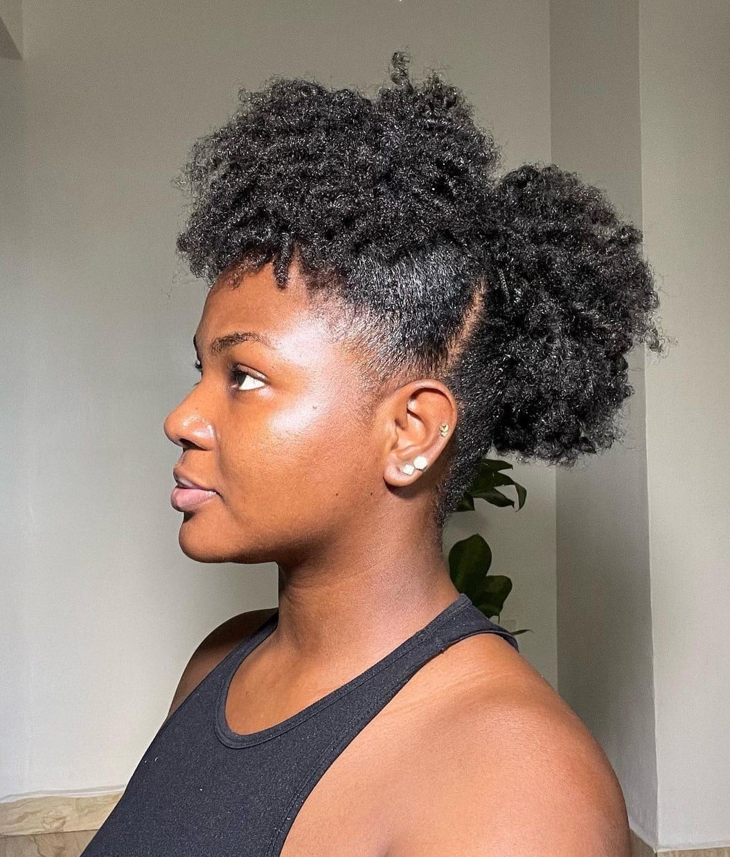 Voluminous Natural Afro Puff Voluminous Natural Afro Puff — Low Puff 2027