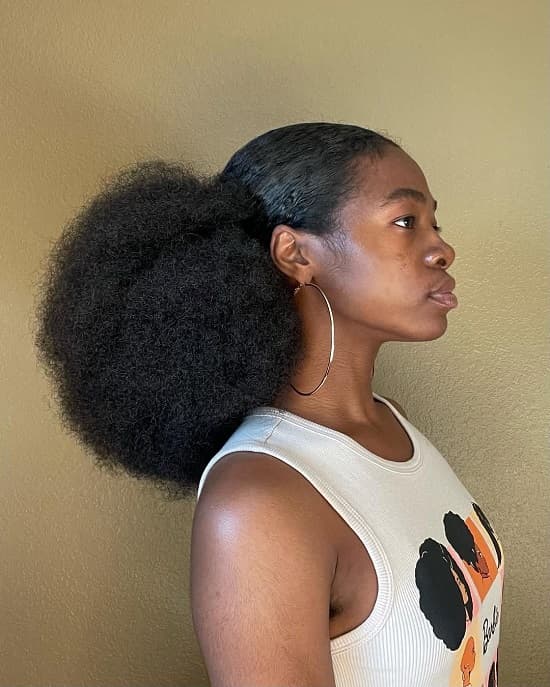 Sleek Front Low Puff Sleek Front Low Puff — Low Puff 2027
