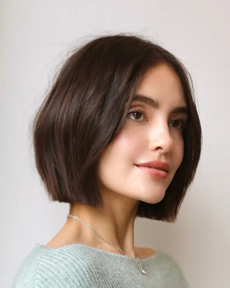Visual Idea Visual Idea — Straight Hair Hairstyles 2027
