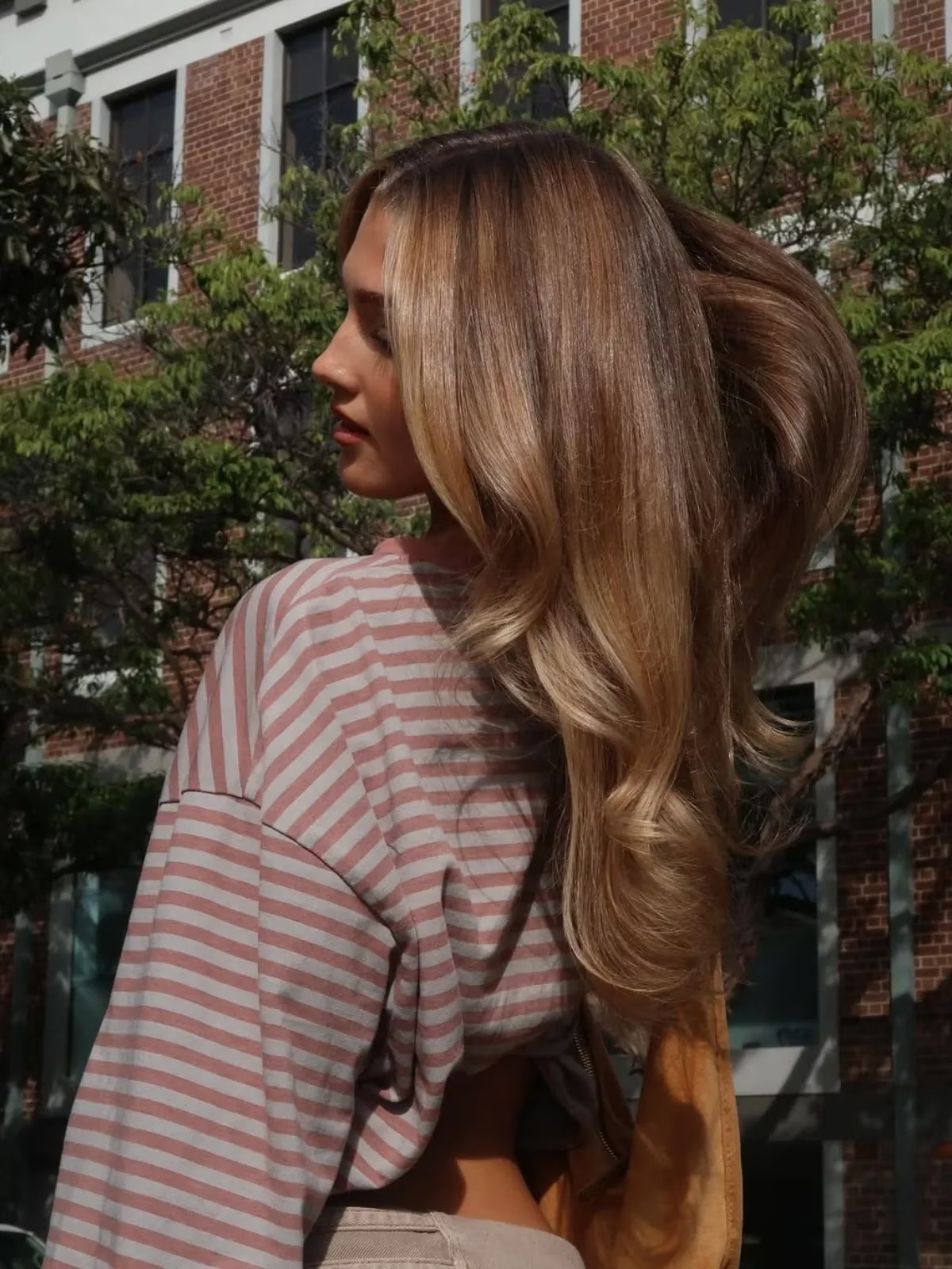 Balayage Effect Visual Idea Balayage Effect Visual Idea — Light Brown Hair 2027