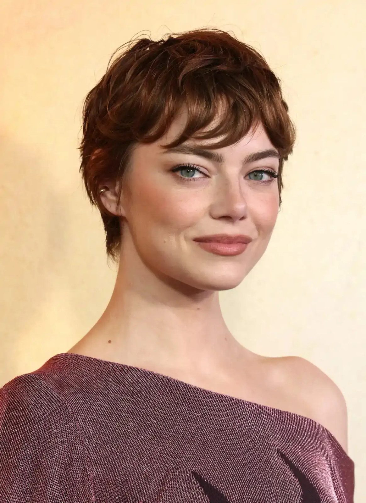 Dark Brown Visual Idea — Bixie Haircut 2027