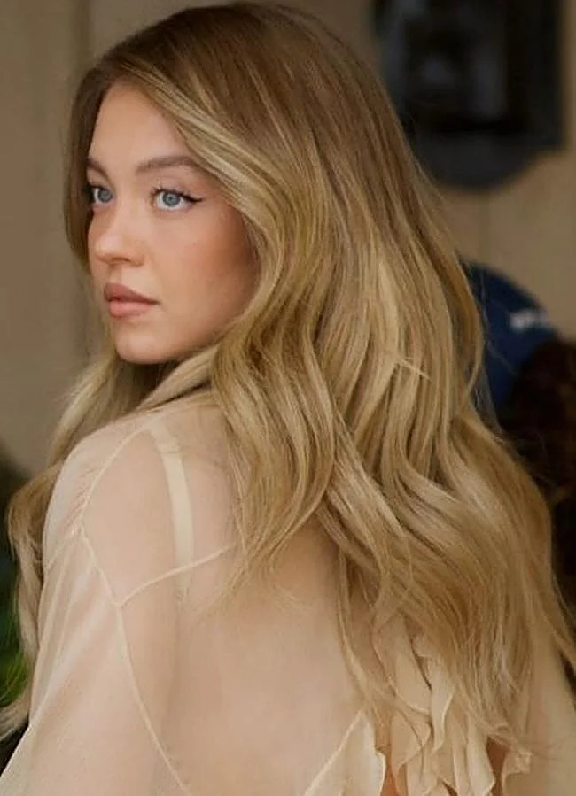 Long Visual Idea Long Visual Idea — Blonde Hair Trends 2027