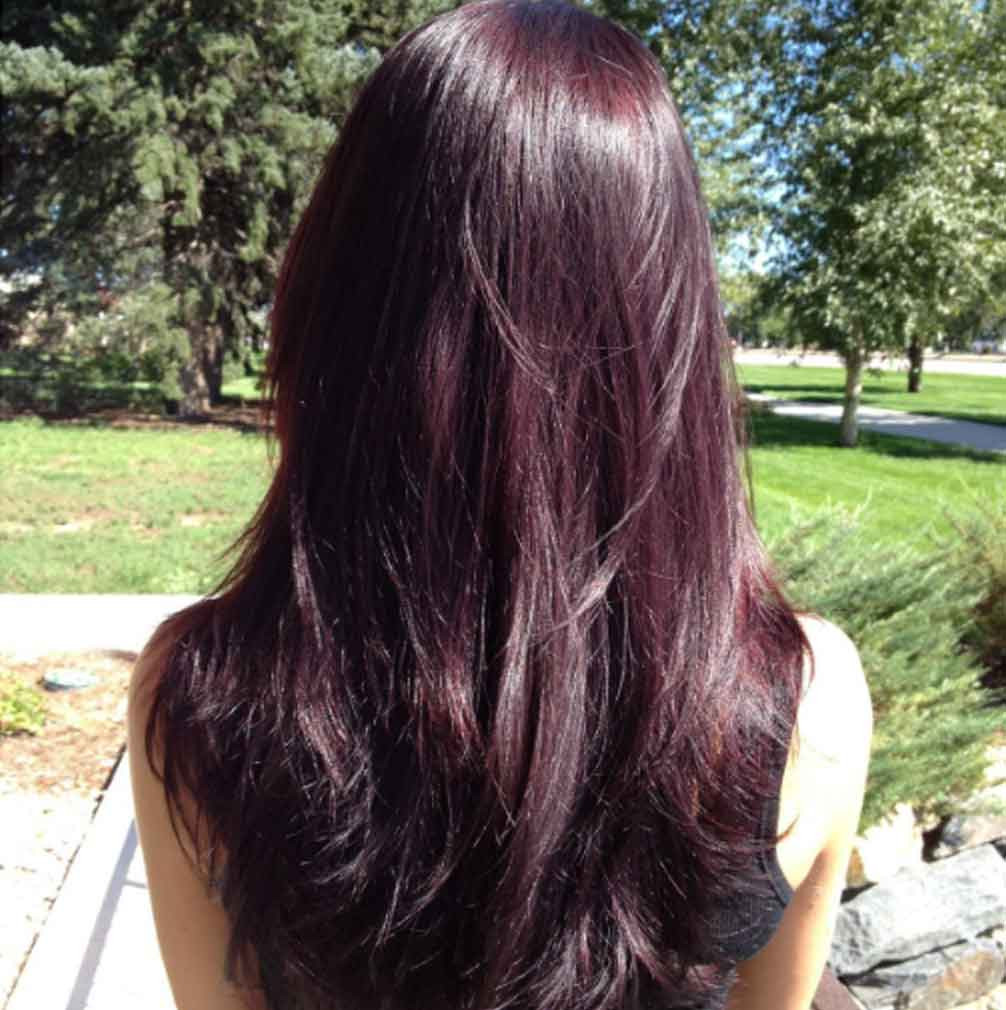 Air Dried Visual Idea Air Dried Visual Idea — Mahogany Hair 2027