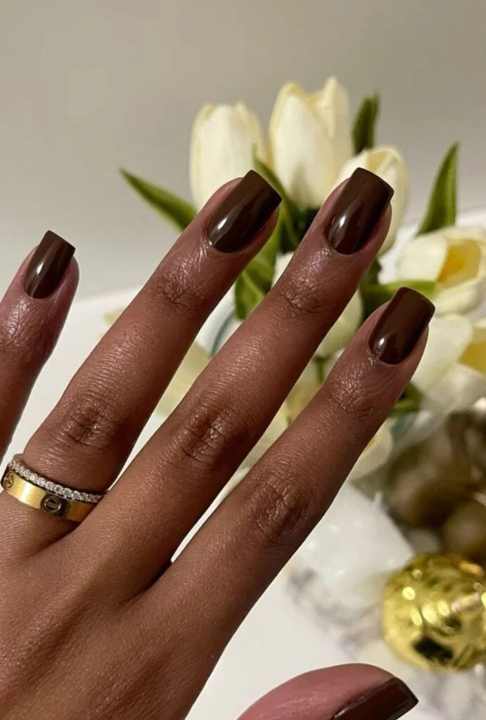 Velvet Cat-Eye Deep Burgundy Short Oval Nails — Nails 2027 for Brown Skin