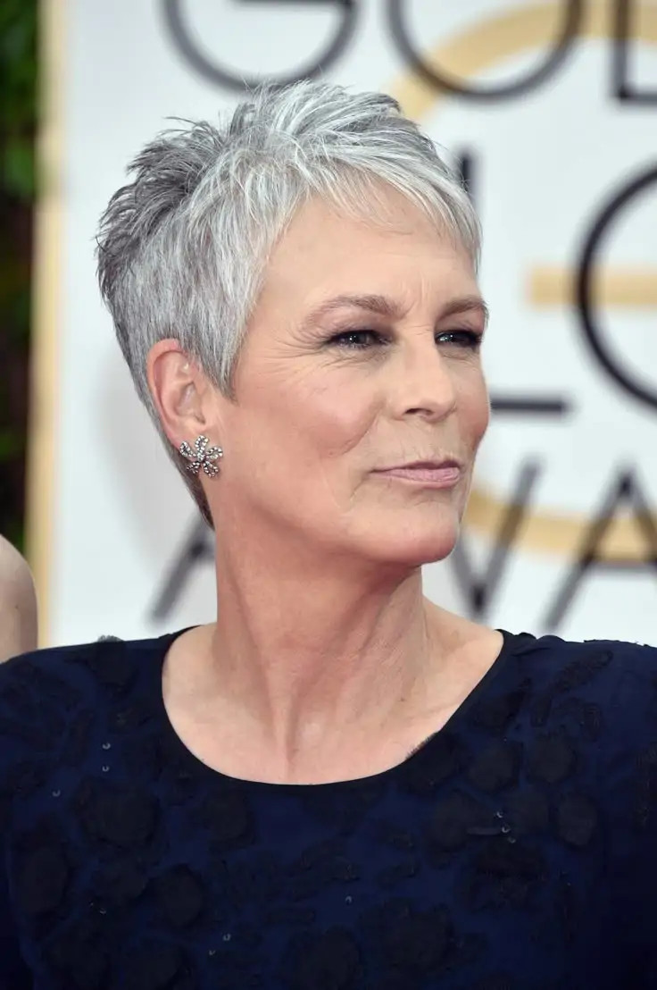 Silver Grey Visual Idea Silver Grey Visual Idea — Pixie 2027 for Women Over 70