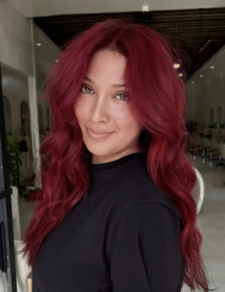 Rich Black Cherry Red Visual Idea Rich Black Cherry Red Visual Idea — Black Cherry Hair 2027