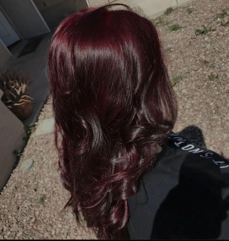 Shoulder Visual Idea Shoulder Visual Idea — Black Cherry Hair 2027