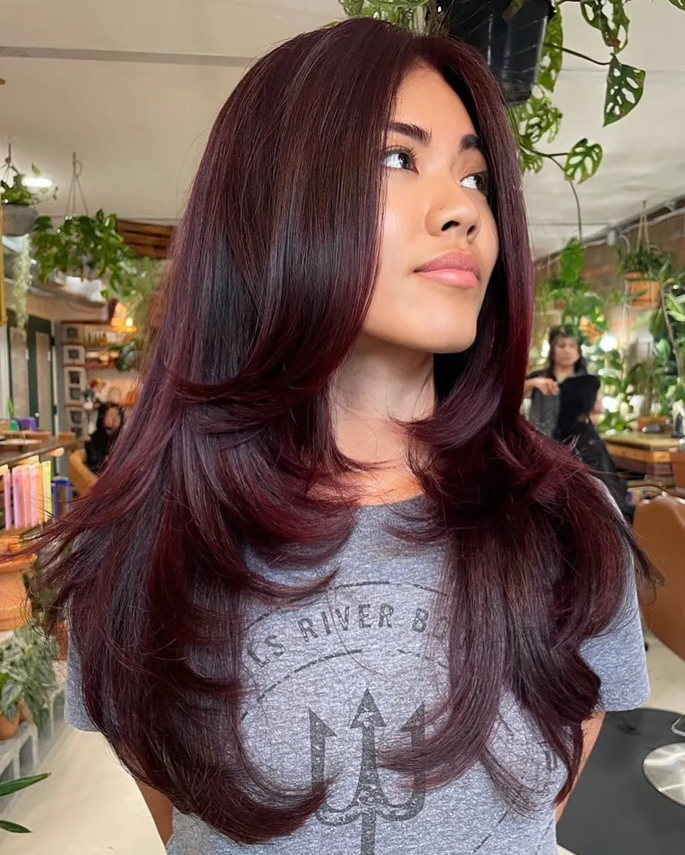 Visual Idea — Thick Black Cherry Hair 2027