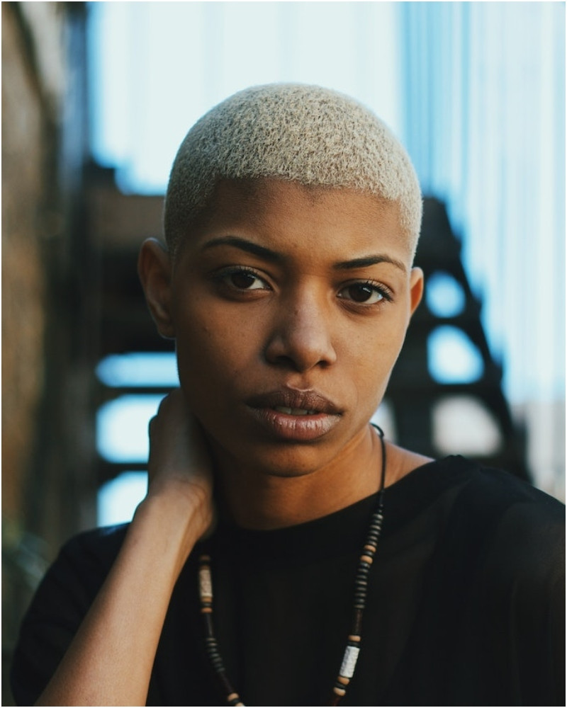 The Platinum Blonde Buzz Cut The Platinum Blonde Buzz Cut — White Hair 2027