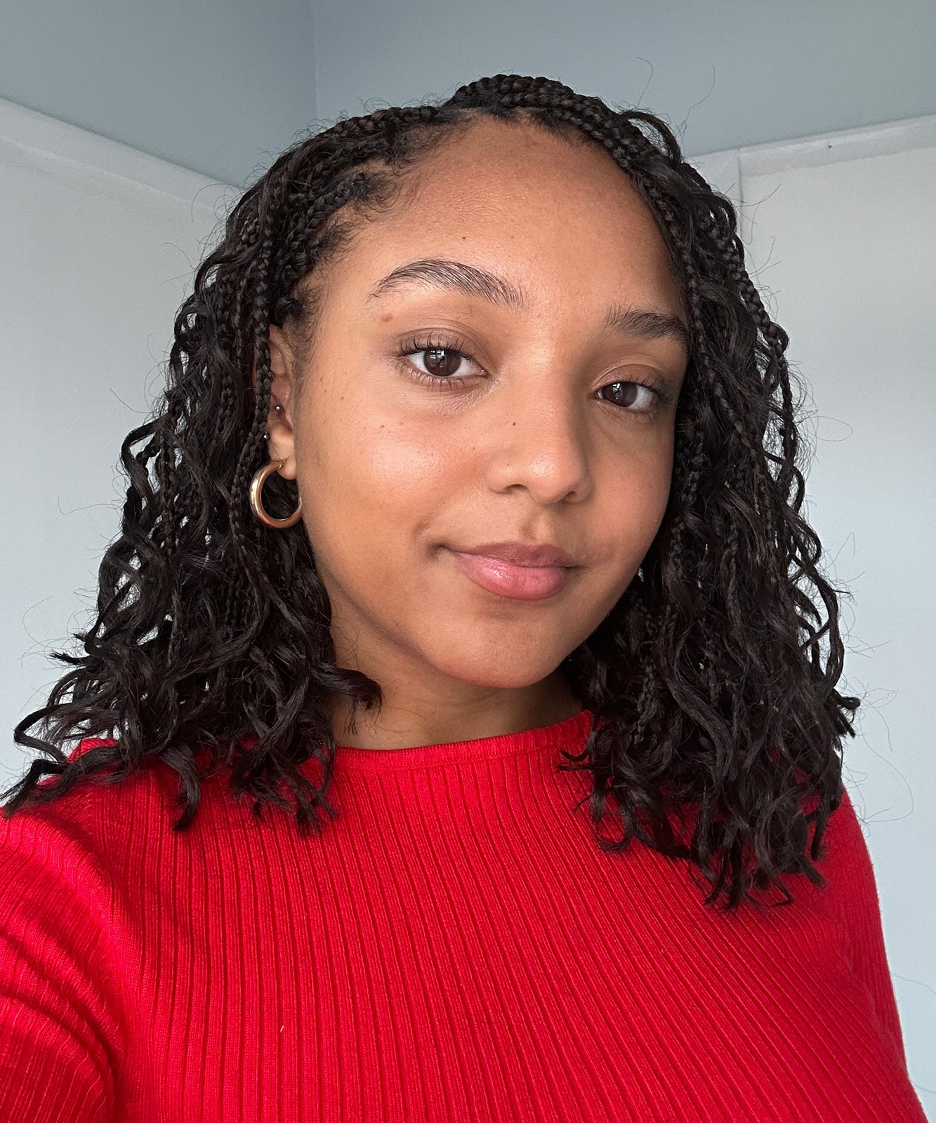 Small Braids With Wavy Ends Small Braids With Wavy Ends — Bob Knotless Braids 2027