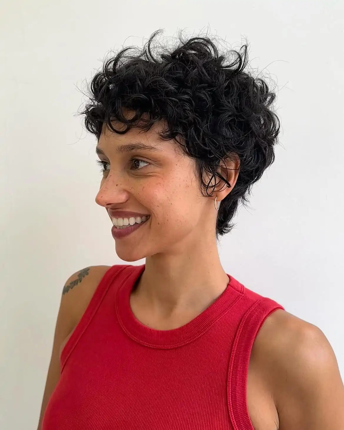 Air-Dried Fine Wavy Pixie Air-Dried Fine Wavy Pixie — Wavy Pixie 2027