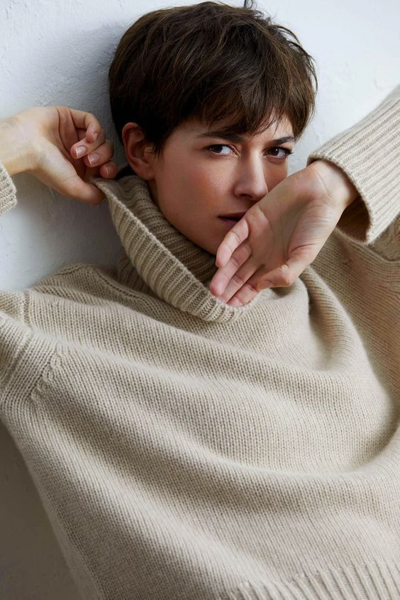 Visual Idea — A Dark Brown Pixie Haircut With Textured Visual Idea — A Dark Brown Pixie Haircut With Textured — Brown Pixie 2027