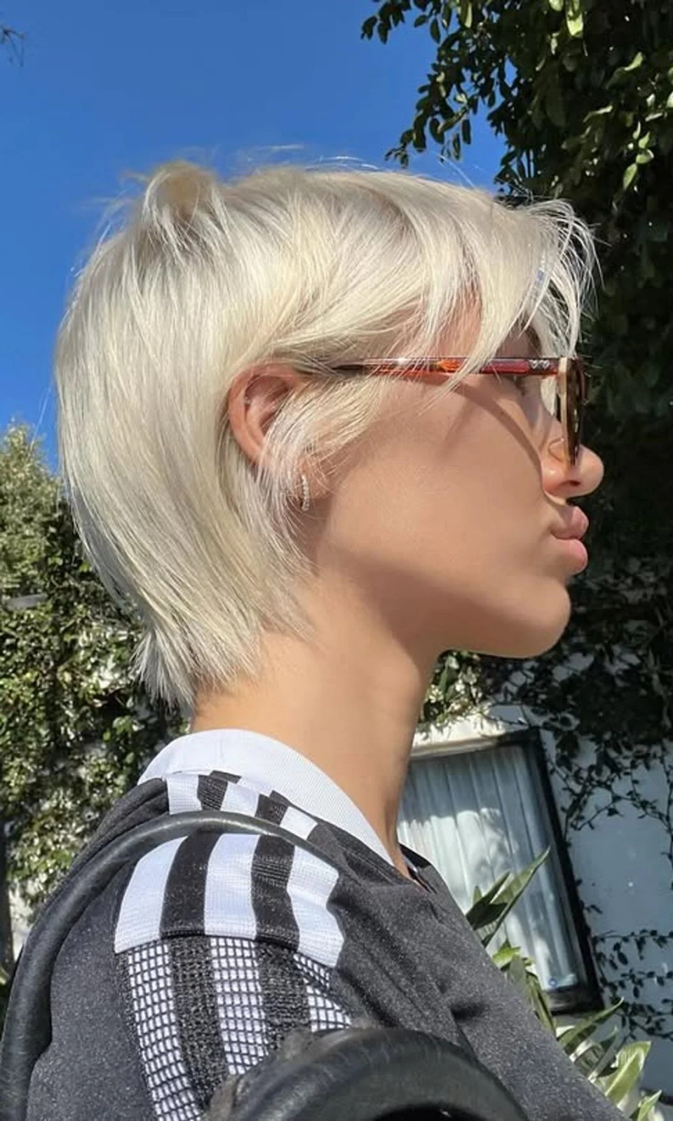 Air-Dried Platinum Blonde Pixie Air-Dried Platinum Blonde Pixie — Mom Pixie 2027