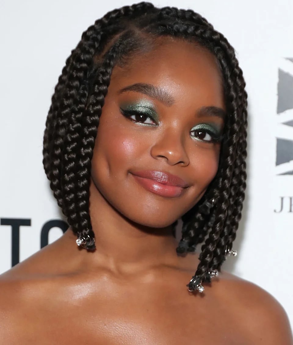 Chin-Length Dark Brown Braided Bob Chin-Length Dark Brown Braided Bob — Natural Hairstyles 2027 for 4A Hair