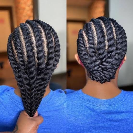 Mid-Back Flat Twists Mid-Back Flat Twists — Natural Hairstyles 2027 for 4A Hair