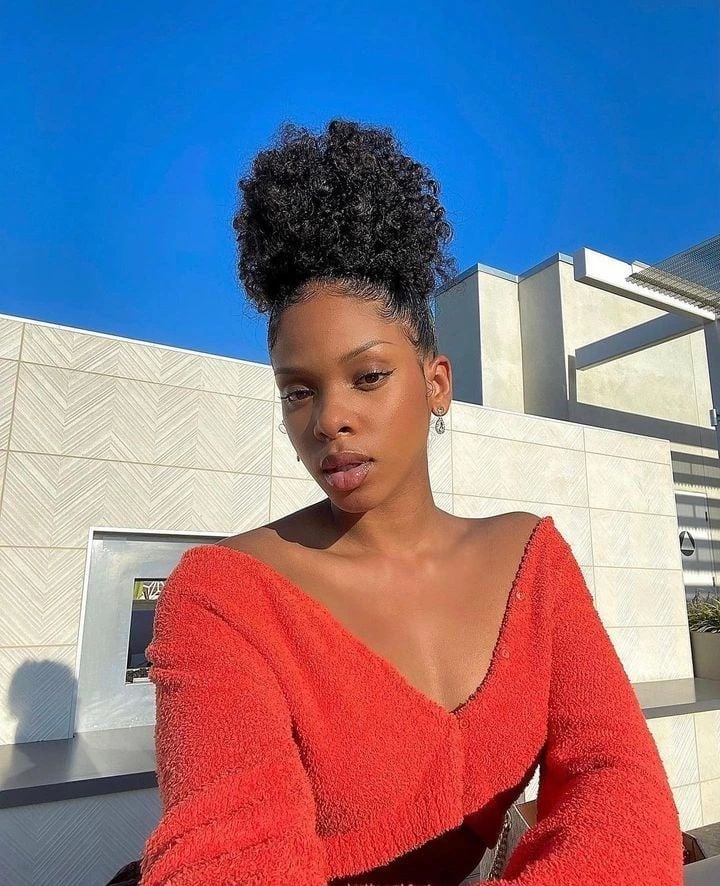 High Puff With Natural Texture High Puff With Natural Texture — Natural Hairstyles 2027 for Black Women