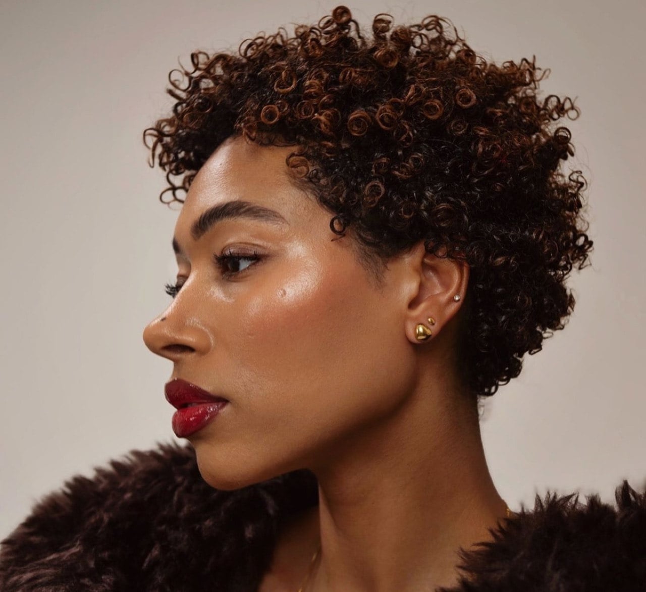 Short Dark Brown Air Dried Afro Short Dark Brown Air Dried Afro — Natural Hairstyles 2027 for Black Women