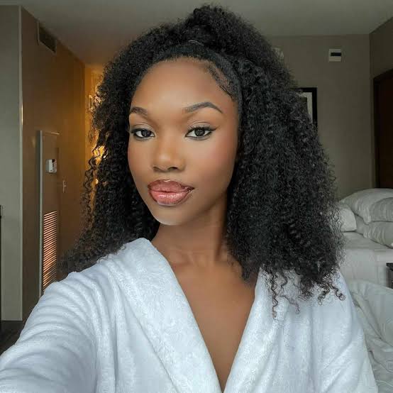 Mid-Back Half-Up Half-Down Ponytail Mid-Back Half-Up Half-Down Ponytail — Natural Hairstyles 2027 for Black Women