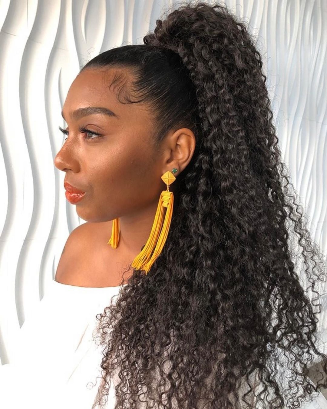 Black High Ponytail With Extreme Volume Black High Ponytail With Extreme Volume — Ponytail Hairstyles 2027 for Curly Hair