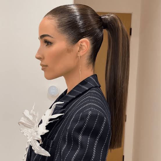 Ultra Sleek High Ponytail With Shine Ultra Sleek High Ponytail With Shine — Ponytail Hairstyles 2027 for Long Hair