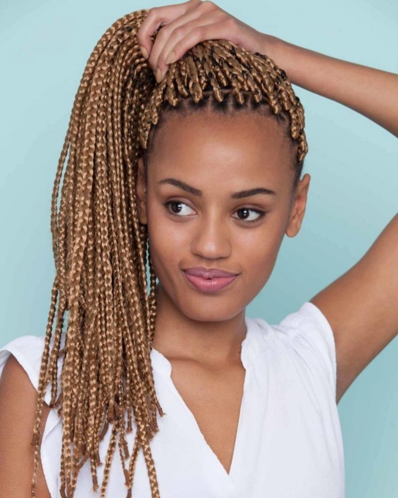 High Ponytail With Fine Box Braids — Ponytail Hairstyles 2027 with Braids