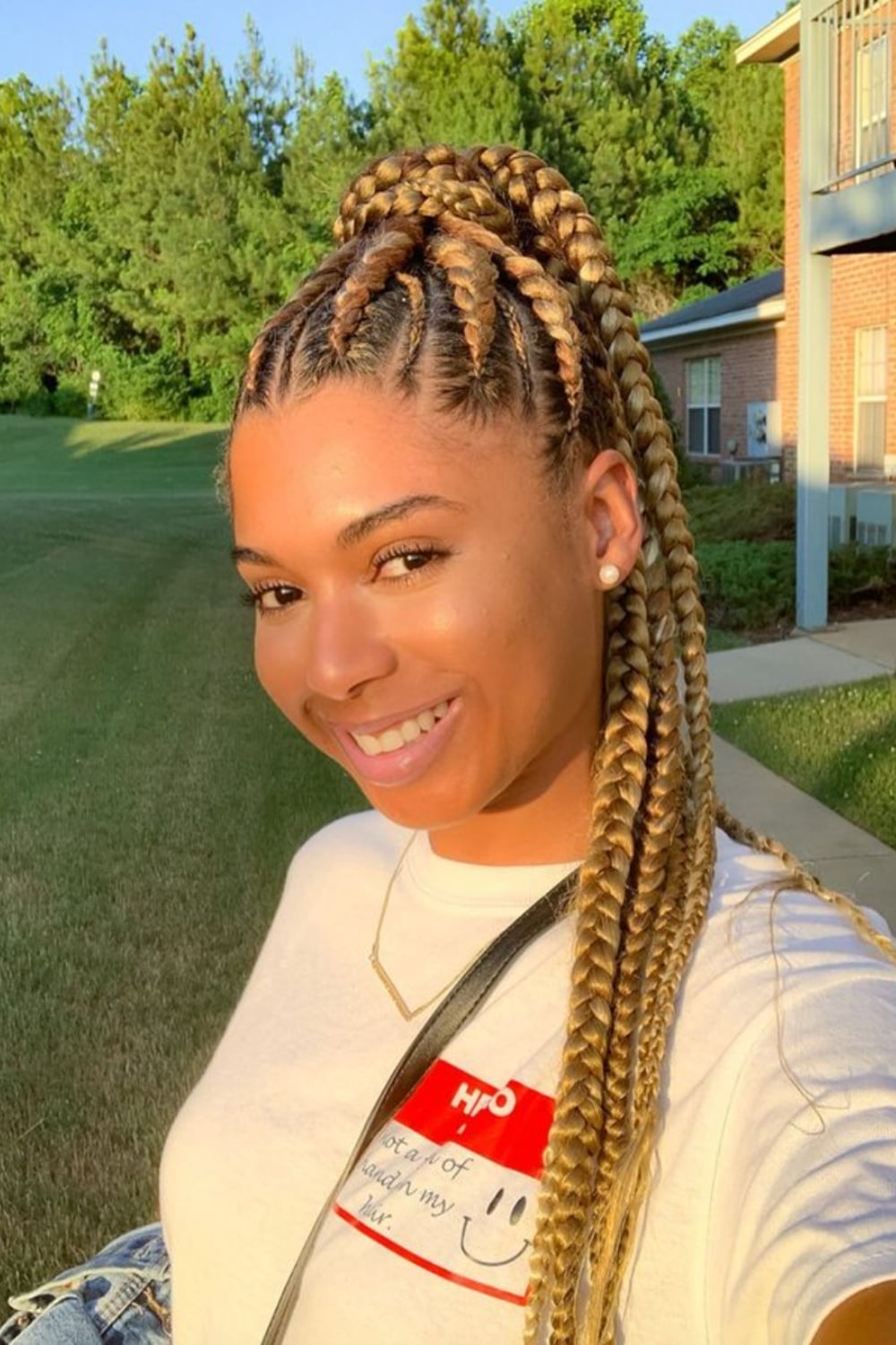 Braided Ponytail With Blonde and Brown Extensions — Ponytail Hairstyles 2027 with Braids