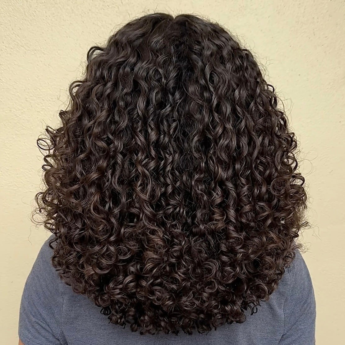 Mid-Back Dark Brown Tight Curls Air Dried Mid-Back Dark Brown Tight Curls Air Dried — Tight Curls 2027